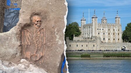 Tower of London dig reveals Black Death-era skeletons below popular tourist site: ‘Tip of the iceberg’