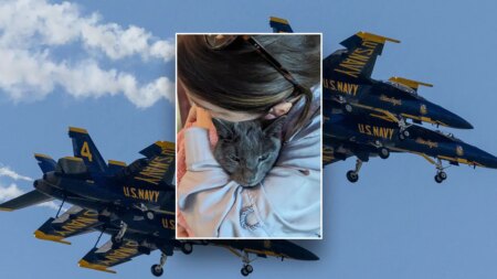 Seattle woman takes Navy’s Blue Angels to court over social media censorship and ‘acoustic torture’ of cat