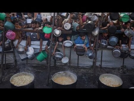 More than 100 organisations sound the alarm about imminent famine in Gaza