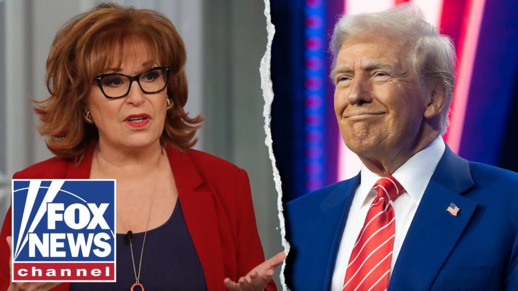 ‘The View’ host TORCHED: ‘IRRELEVANT LOSER’