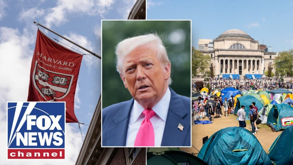 This ‘rot’ requires a ‘powerful response,’ says ex-Trump official
