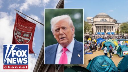 This ‘rot’ requires a ‘powerful response,’ says ex-Trump official