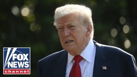 This was ‘designed to smear President Trump’