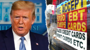‘Dangerous and illegal’: Democrat AGs sue Trump over effort to use SNAP to locate migrants