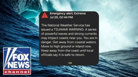Hawaii coastline after massive earthquake triggers tsunami fears