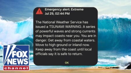 BREAKING: Tsunami alerts triggered for entire US West Coast after massive 8.7 quake