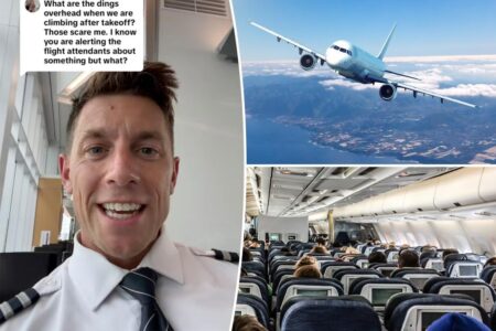 There’s a specific reason why those familiar double chime noises go off on airplanes, pilot says: ‘My anxiety is maxed out until I hear those’