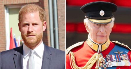 Prince Harry and King Charles Could Be on Road to Reconciliation After Secret Meeting: Report