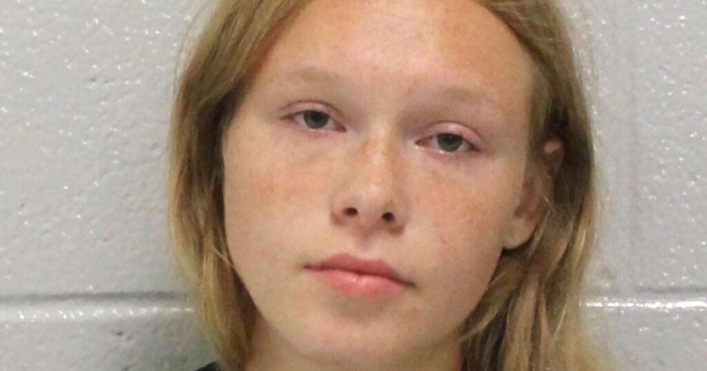 Teen Charged With Parents’ Murder After Asking TikTok Influencers to Help Solve Case