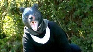 Police officials host ‘bear drills’ following string of bear attacks