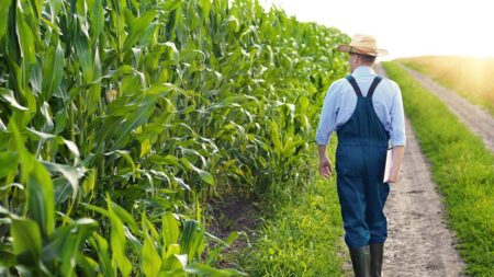 ‘Better access’: Bipartisan Senate push to fund farmers suicide prevention fund gains steam