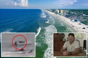 Florida man headbutted by airborne shark while surfing in insane video: ‘Really happy its mouth wasn’t open’