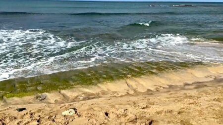 Ancient ‘stick figures’ on beach once again visible at tourist destination