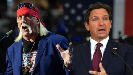 Heckler hijacks Florida governor’s Hulk Hogan tribute with profane tirade against ‘Alligator Alcatraz’