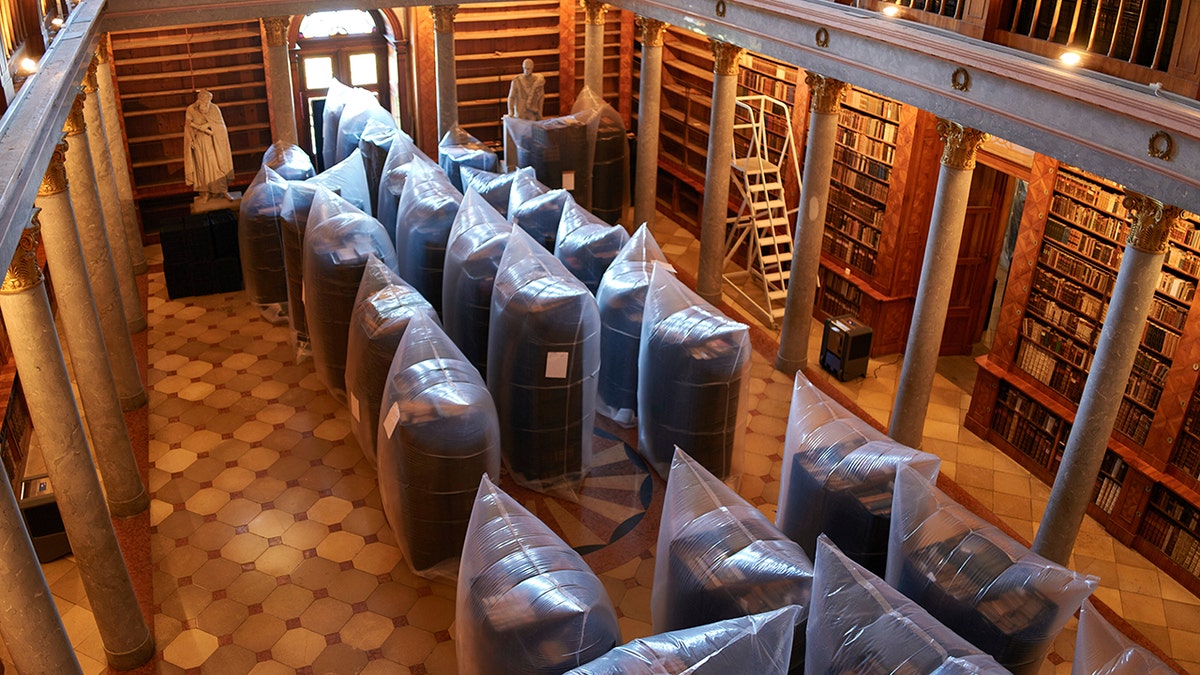 Hungary Medieval Library Infestation
