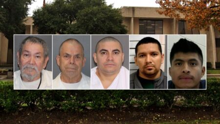 Migrant sex crime surge in major US city tied to Biden’s open border, Mexico ‘safe haven’: former judge