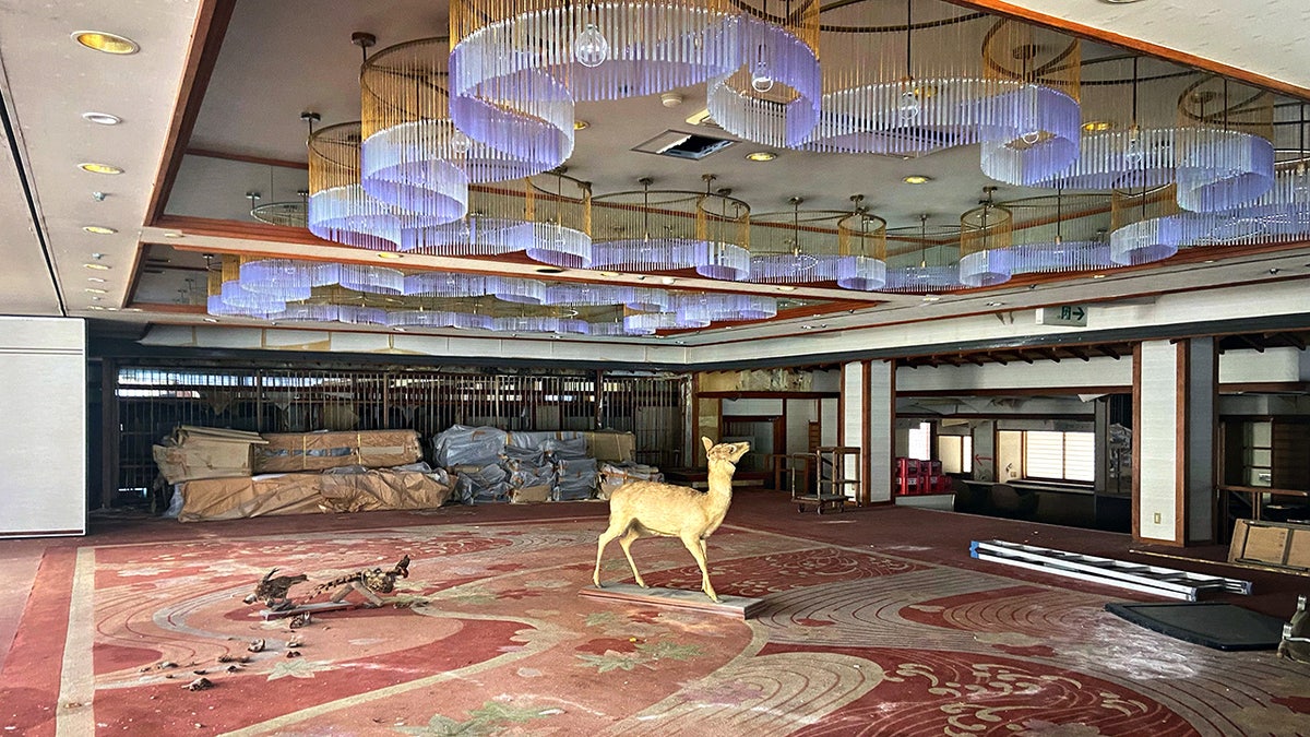 "One of the strangest things was walking into a lobby and seeing a massive taxidermy deer and falcon still standing there."