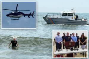 Long Island on high alert for sharks as thousands head to beach for Fourth of July