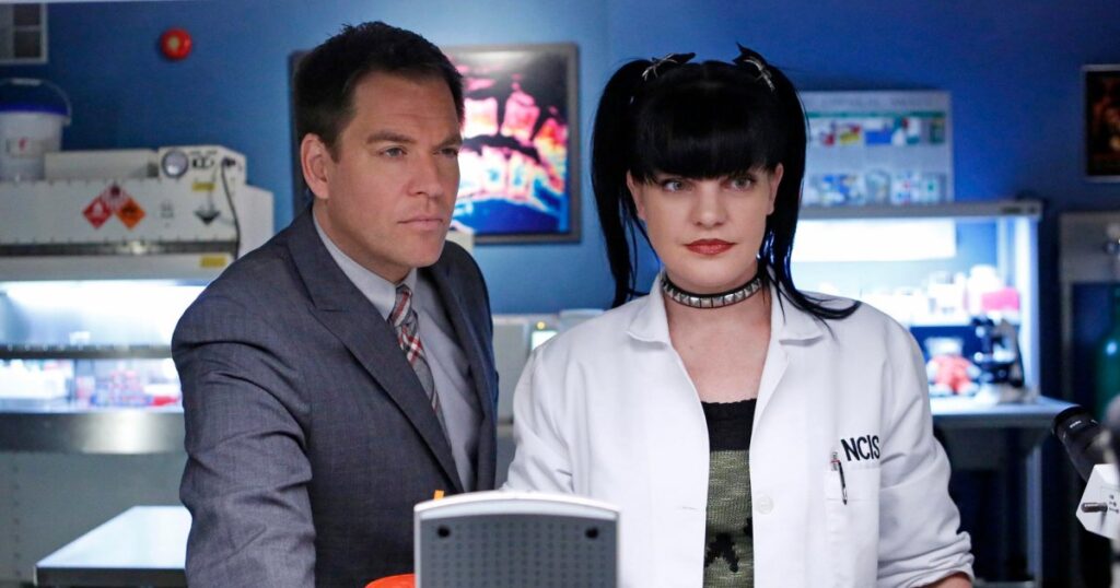 Pauley Perrette’s Life Outside of Hollywood: Where Is the ‘NCIS’ Alum Now?