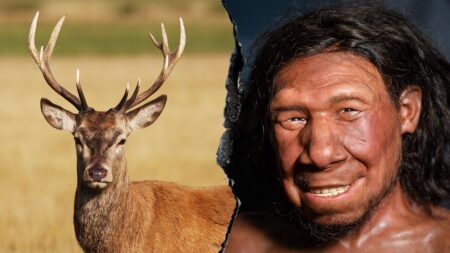 Neanderthals extracted animal fat in advanced food prep ‘fat factories’ 125,000 years ago: report
