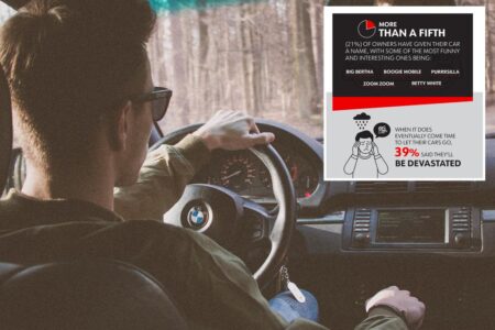From ‘Purrrsilla’ to ‘Big Johnny’: the story behind Americans’ car names