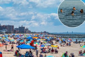 Most Americans are guilty of this seriously gross behavior during a day out at the beach
