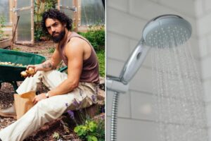 The super healthy food you can grow in your bathroom — it’s so easy and needs no sunlight