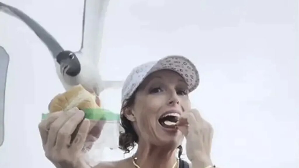 New Jersey seagull snatches sandwich out of stunned woman’s hand
