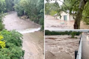 Wild video shows entire house with cat inside floating away in Texas flooding, smashing into bridge