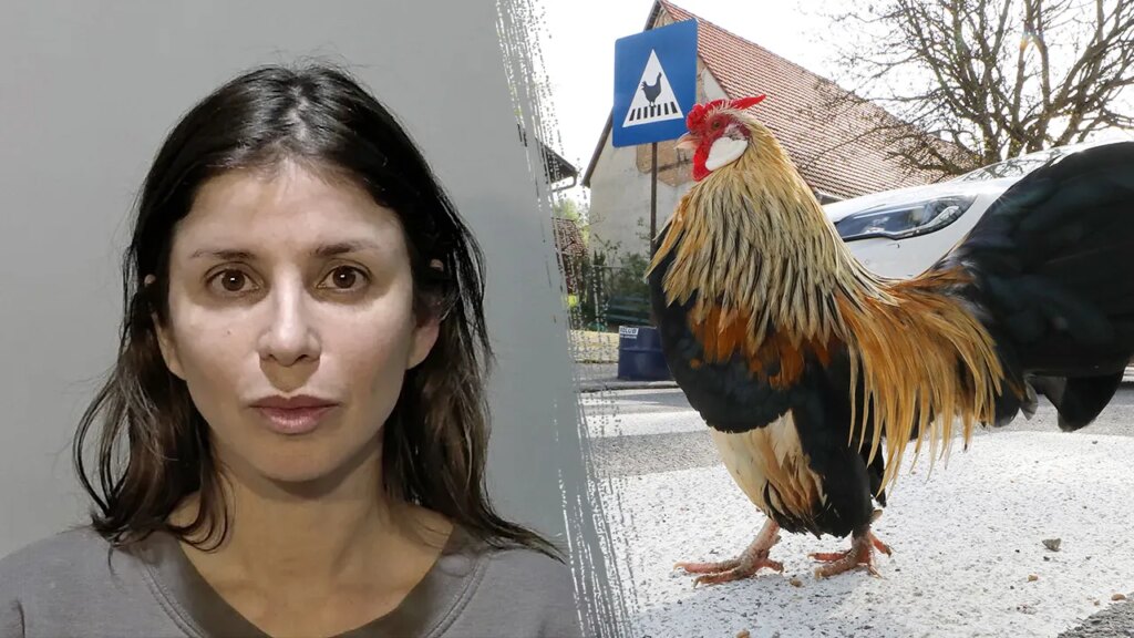 Fowl play: Florida woman charged after allegedly spraying mace at driver who struck chicken crossing the road
