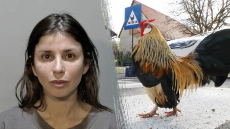 Fowl play: Florida woman charged after allegedly spraying mace at driver who struck chicken crossing the road