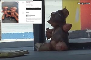 Teddy bear purportedly wrapped in human skin left on California sidewalk, spooking locals and cops in twisted prank