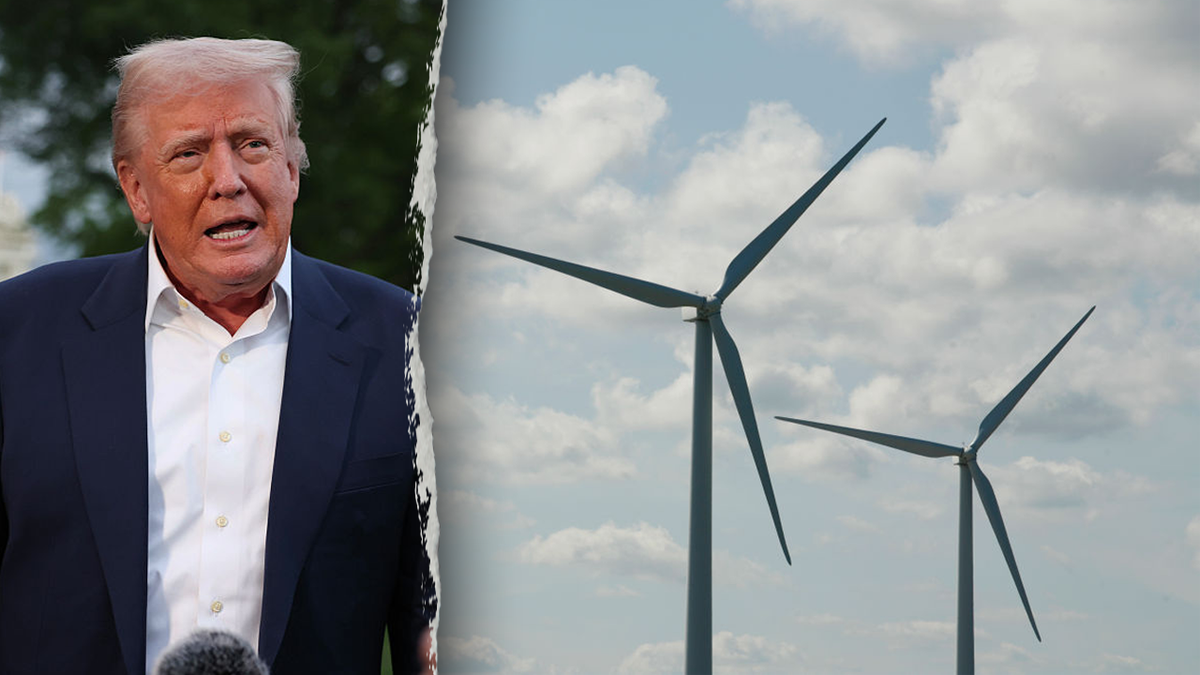 Trump, left; windmills, right