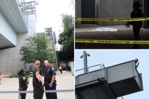 Museum visitor, 34, jumps to his death at the Whitney