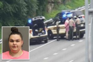 Felon leads cops on 4-hour long slow motion chase with speeds of 7 mph in stolen car
