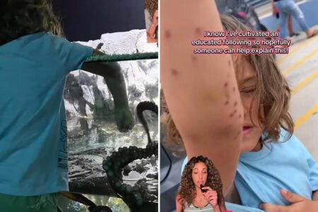 Octopus attacks 6-year-old boy at Texas aquarium, mom claims: ‘We started yelling for help’