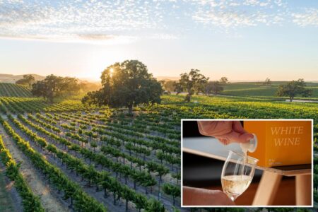 Boxed wine isn’t just swill anymore, experts say — here’s how to get the most bang for very few bucks
