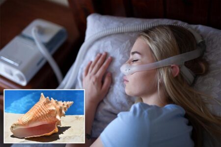This ancient Indian seashell trick can help with sleep apnea — and reduce snoring