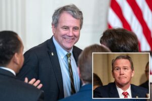 Democrat Sherrod Brown will attempt to win back his Senate seat in 2026: report