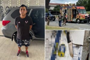 Illegal migrant threatened to harm himself with butcher knife when stopped by officers in DC: ICE