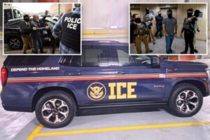 Exclusive | ICE to rollout bold, new cars emblazoned with agency’s name, logo — leaving agents furious and terrified: ‘a bullseye’