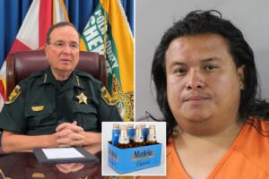 Nicaraguan man illegally in US facing ‘enhanced’ charges after drunken hit-and-run: sheriff