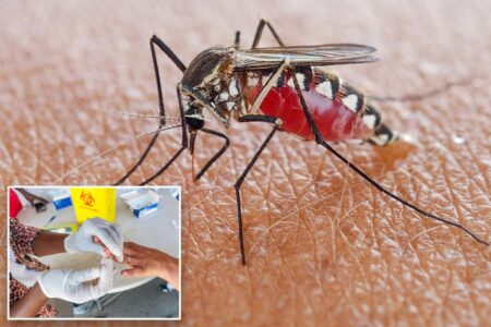 NJ malaria case is first acquired locally since 1998