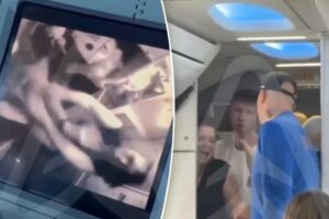 Raging passenger punches flight attendants over chaotic phone dispute