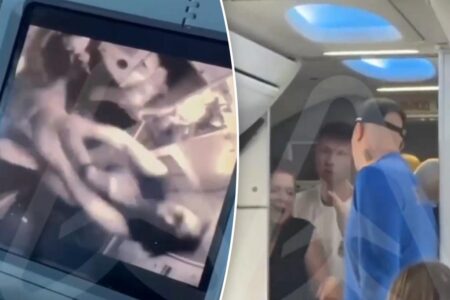 Raging passenger punches flight attendants over chaotic phone dispute