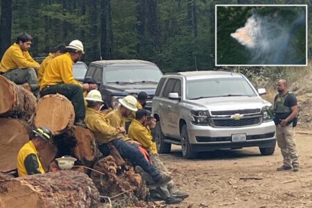 Two firefighters arrested in immigration raid while tackling 9,000-acre wildfire