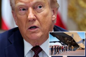 Federal judge blocks Trump from swiftly deporting illegal migrants from the interior of the country