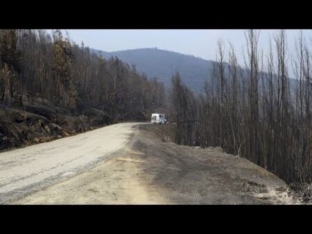 Portugal’s burned land triples compared to last year amid intensifying wildfires