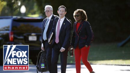 Was this about money?!: Biden aide’s testimony leads to new questions