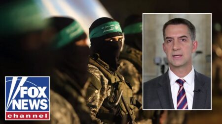 Hamas is relying on an international chorus to do its dirty work: Tom Cotton